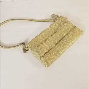 Mossimo Supply Co clutch